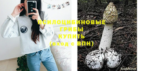 a pvp Володарск