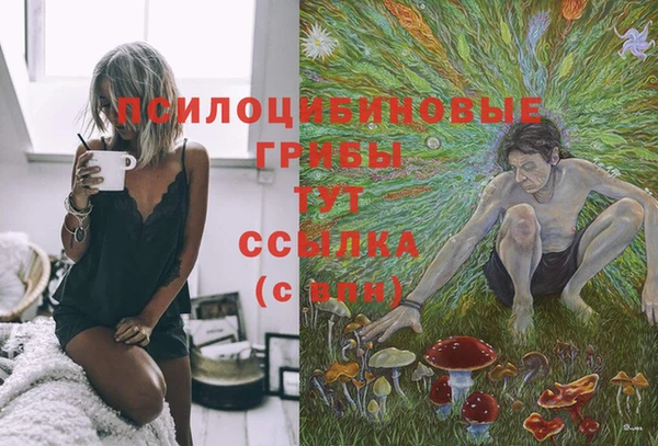мдма Волоколамск