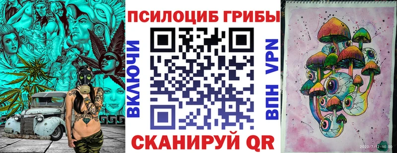 где продают   Ишим  Галлюциногенные грибы прущие грибы 